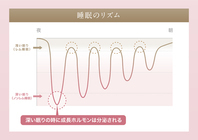 トレンダーズ株式会社のプレスリリース画像2