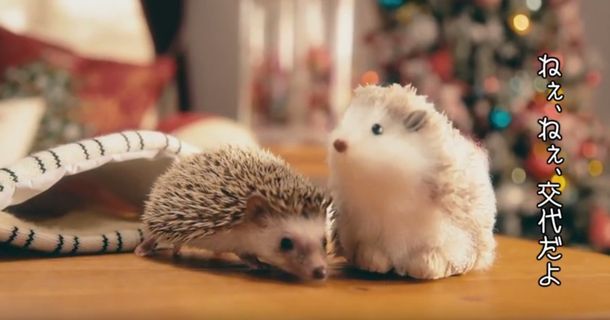 トレンダーズ株式会社のプレスリリース画像2