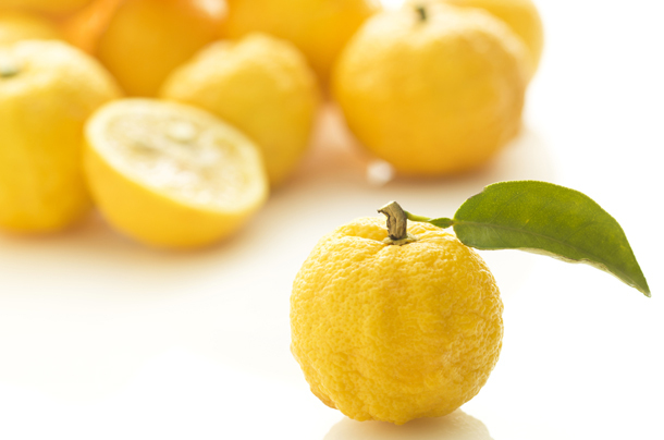 トレンダーズ株式会社のプレスリリース画像2