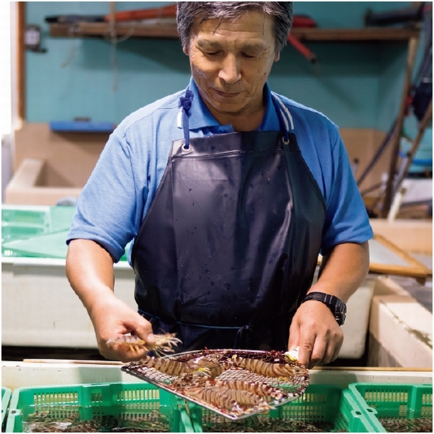 トレンダーズ株式会社のプレスリリース画像5