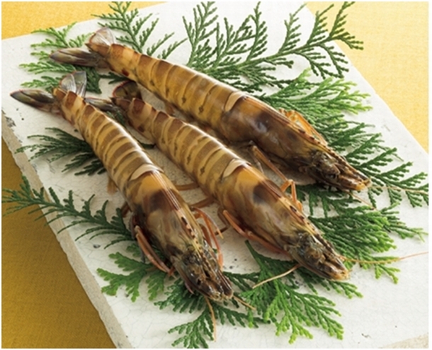 トレンダーズ株式会社のプレスリリース画像4