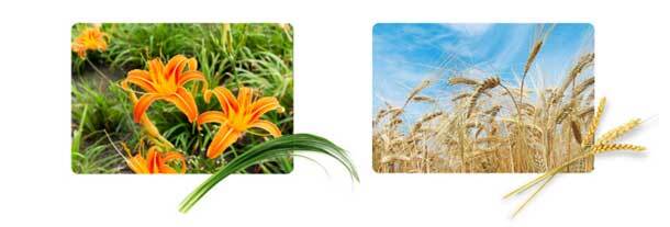 トレンダーズ株式会社のプレスリリース画像9