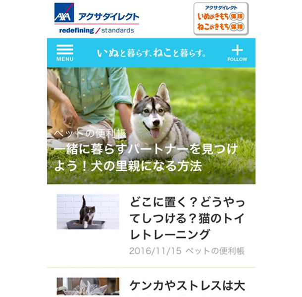 犬や猫のよくかかる病気って 大切な家族だから知っておきたい 飼い主の心得 トレンダーズ株式会社のプレスリリース