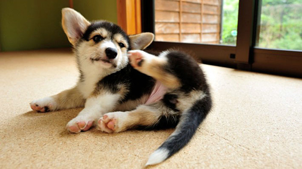 トレンダーズ株式会社のプレスリリース画像5