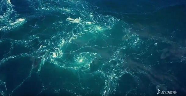 トレンダーズ株式会社のプレスリリース画像5