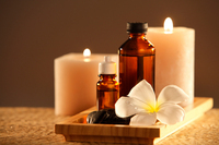 トレンダーズ株式会社のプレスリリース画像4