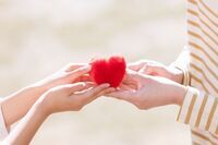 トレンダーズ株式会社のプレスリリース画像5