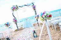 トレンダーズ株式会社のプレスリリース画像2