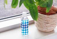 トレンダーズ株式会社のプレスリリース画像7