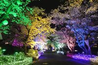 トレンダーズ株式会社のプレスリリース画像6