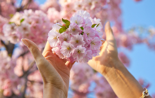 トレンダーズ株式会社のプレスリリース画像1