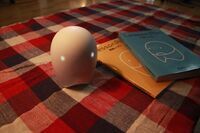 トレンダーズ株式会社のプレスリリース画像7