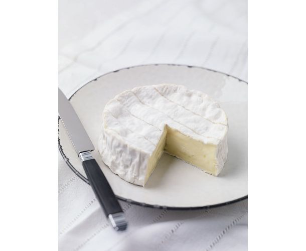 トレンダーズ株式会社のプレスリリース画像8