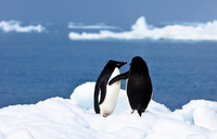 トレンダーズ株式会社のプレスリリース画像7