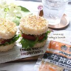 トレンダーズ株式会社のプレスリリース画像7