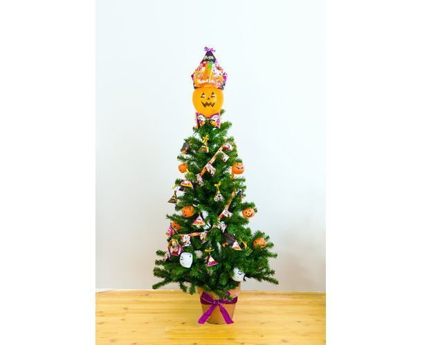 トレンダーズ株式会社のプレスリリース画像6