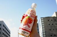 トレンダーズ株式会社のプレスリリース画像3