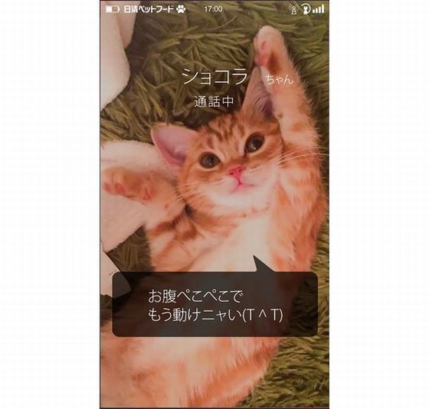 トレンダーズ株式会社のプレスリリース画像2