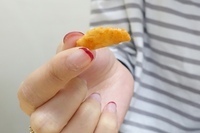 トレンダーズ株式会社のプレスリリース画像1