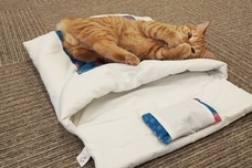 トレンダーズ株式会社のプレスリリース画像8