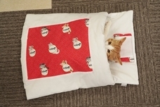 トレンダーズ株式会社のプレスリリース画像5