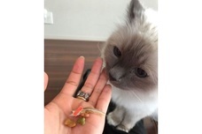 トレンダーズ株式会社のプレスリリース画像3