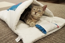 トレンダーズ株式会社のプレスリリース画像9