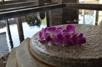 セントラル都市開発株式会社のプレスリリース画像3