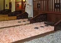 セントラル都市開発株式会社のプレスリリース画像3