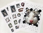 株式会社ライブトゥーラブ・ジャパンのプレスリリース画像5