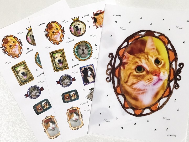 株式会社ライブトゥーラブ・ジャパンのプレスリリース画像7