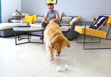 株式会社コズミックコミュニケーションズのプレスリリース画像2