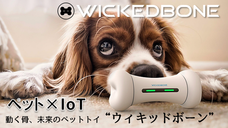 株式会社コズミックコミュニケーションズのプレスリリース3