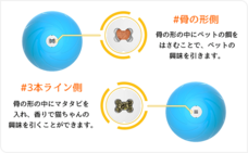 株式会社コズミックコミュニケーションズのプレスリリース画像4