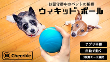 株式会社コズミックコミュニケーションズのプレスリリース画像2