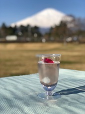 生フルーツゼリー専門店　フルフール御殿場のプレスリリース画像9