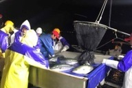 アミタホールディングス株式会社のプレスリリース画像1