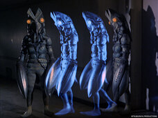 株式会社円谷プロダクションのプレスリリース画像2