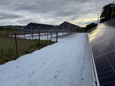 株式会社トップワイジャパンのプレスリリース画像1