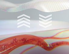 株式会社MTGのプレスリリース画像4