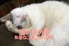 合同会社希エンターテイメントのプレスリリース画像1