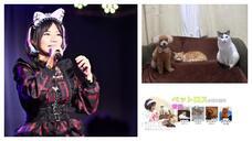 合同会社希エンターテイメントのプレスリリース画像1