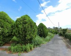 一般社団法人不動産競売流通協会のプレスリリース画像2