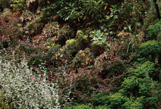 株式会社グッドコムアセットのプレスリリース画像4