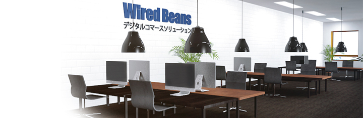 株式会社ワイヤードビーンズのプレスリリース画像2