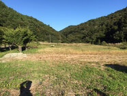 株式会社フジテックスのプレスリリース