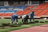 有限会社アルファディアのプレスリリース画像2