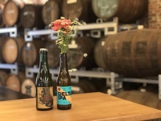 ブラッセルズ株式会社のプレスリリース画像7