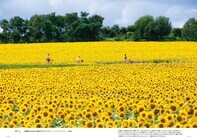 株式会社 三才ブックスのプレスリリース画像4