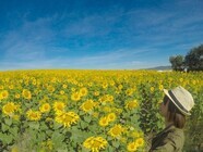 株式会社 三才ブックスのプレスリリース画像3